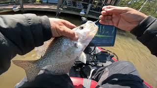 Dock shooting spring crappie