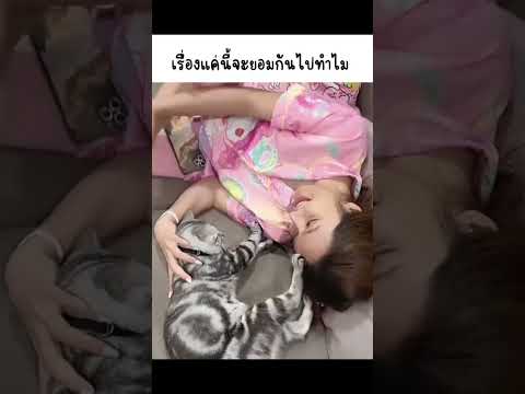 ว่างๆก็ทะเลาะกับแมว