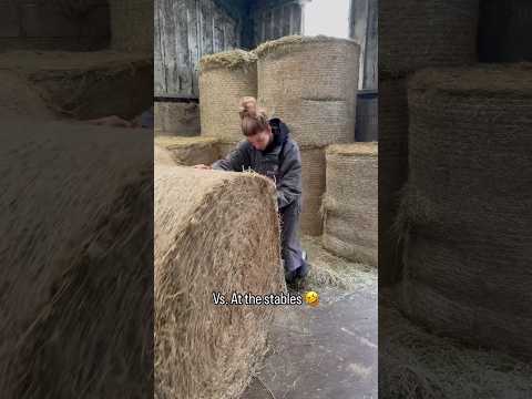Help me I’m weak ? #equestrian #youtubeshorts #explore #subscribe #horse #like #youtuber #trending