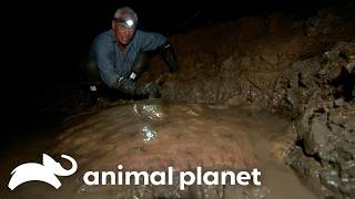 Deadly Creature RIPS Fishing Reel Out of Jeremy's Hands! | River Monsters | Animal Planet