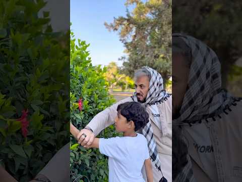 الورده الحمرا🌹!part2