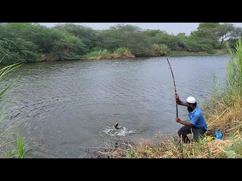 "HARD DAYS! SO MUCH STRUGGLE...THEN THIS GIANT ROHU IN VILLAGE STREAM "ROHUFISH AND FRANCE FISH