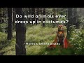 Animal Camouflage and Disguise Techniques