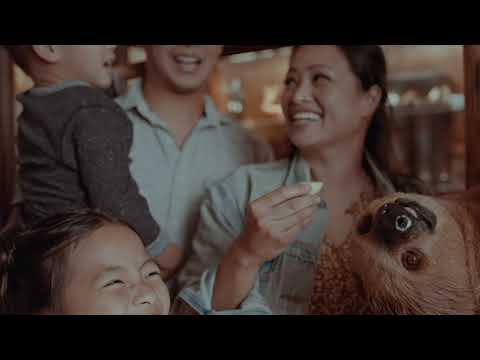 Wanderers Welcome: Family Adventure