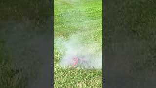 A satisfying video of a rocket launching in slo-mo