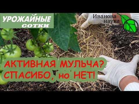 Блогеры хотят загнать нас в гроб? Активная и горячая мульча нас убивает!