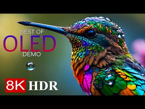 MOST COLORFUL BIRDS 8K HDR – OLED DEMO 8K Ultra HD