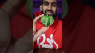 I Tried TOMATILLO for the First Time