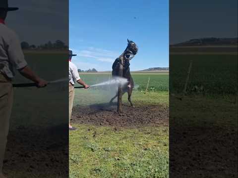 Trabajo muy brusco, no se recomienda de esta manera