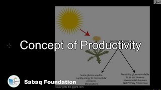 Concept of Productivity