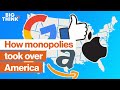 Understanding Economic and Political Impacts of Monopolies