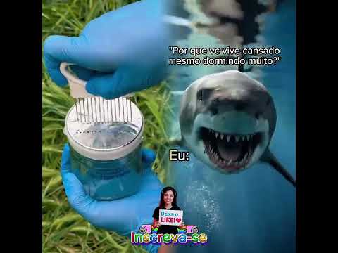 MEU ÚLTIMO NEURÔNIO FRITOU COM ESSE FINAL KKKKK 🍳🤯