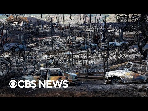 YouTube video thumbnail: Maui Wildfire Victims Show Long-Term Physical, Mental Health Effects, Research Shows