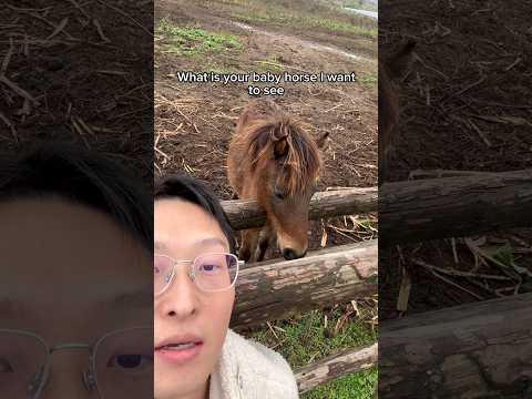 Hello Miss Billie Eilish@BillieEilish #hello #mylife #fyp