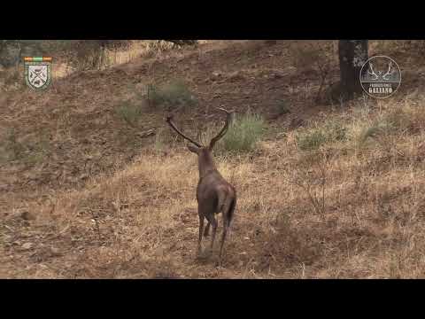GESTIÓN Y MANTENIMIENTO  FINCA NAVASERRANO ALMENDRO POSANUEVA 2024  CD CAZADORES VIRGEN DE VILLAVICI