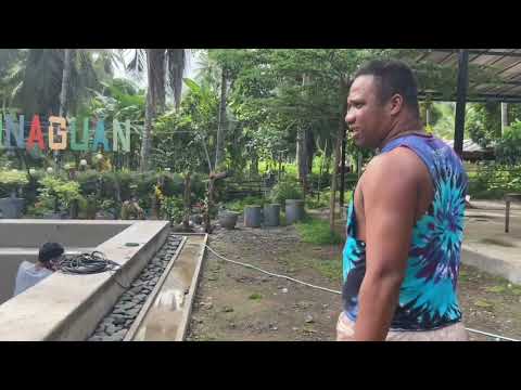ANG LAKI NA NG PINAGBAGO NG HINAGUAN PARK NI @BrendaMageOfficial 