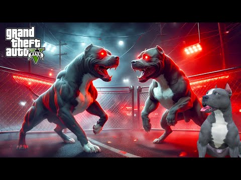 TERMİNATÖR'ÜN DÖVÜŞTÜĞÜ EN GÜÇLÜ KÖPEK! PİTBULL ARES'LE ARENA DÖVÜŞÜ! - GTA 5