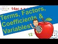 Understanding Terms, Factors, and Coefficients