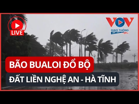 🔴 TRỰC TIẾP: Bão Bualoi CÀN QUÉT miền Trung | Nghệ An - Quảng Trị - Hà Tĩnh oằn mình trong mưa bão
