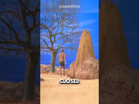 How African Bushmen Find Water in the Desert? #shorts