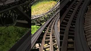 Jump aboard the wildest ride in the woods! 🎢