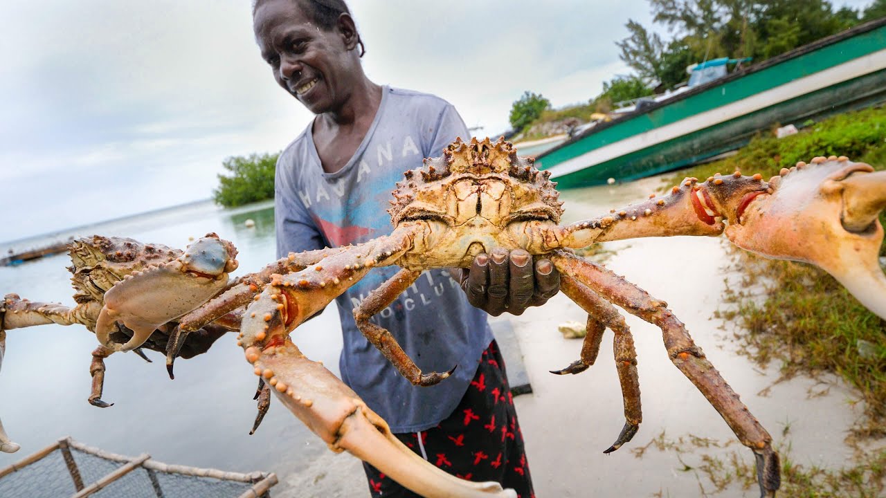 Huge Caribbean KING CRAB RUNDOWN! Jamaican Seafood Tour - Jamaica!