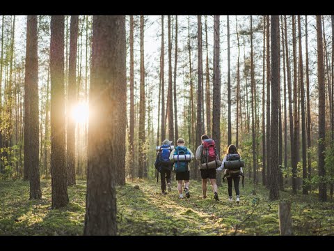 Lithuania. Co-create experiences in nature