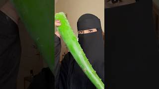 جل الصبار العضوي رابط المتجر في البايوا