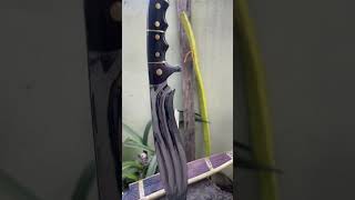 dbad Subba - Inspired by greatness