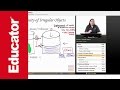 Understanding Density and Volume Concepts