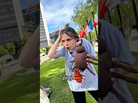 CAROLA la PIOJOSA se cruzó a @LARACAMPOS 🐸🪳🐸🪳