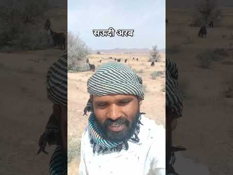 सऊदी अरब में बकरी चराने आया तो पानी लेकर नहीं है फिर क्या हुआ | #shorts #chandangoodenfo