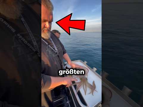Dieser Mann hat einen großen Fehler gemacht! 😭😰