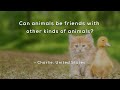 Animal Relationships and Friendships