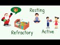 Sodium Channels and Action Potentials