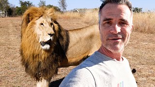 LION Shows Me I'm Part of the Tribe | The Lion Whisperer