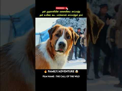 The dog that protects his boss's wife #shrots