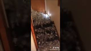 Any extra recycling?