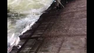 Feel the breath and the beauty of nature, the fish in the river catch fish by the trap
