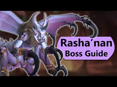 Rasha'nan Raid Guide - Normal and Heroic Rashanan Nerub-ar Palace Boss Guide