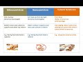 Cultural Concepts and Comparisons