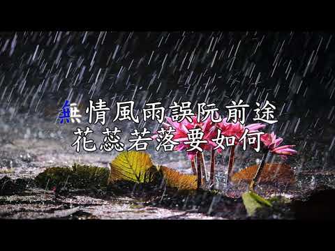 雨夜花