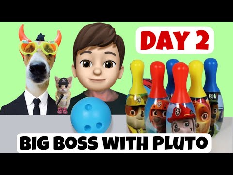 Fun Task In Big Boss With Pluto ( Day 2 )  #dog funnyanimals #animals