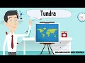 Tundra Ecosystems and Adaptations