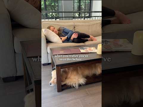 When your golden has the same spot as your childhood dog 🥺