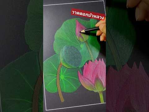 หัดวาดดอกบัวdrawingflowerpaintingดอกไม้ศิลปะ