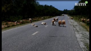 Reportage : Comment vit-on le confinement sanitaire dans le monde rural ?