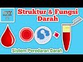 Functions and Components of Blood