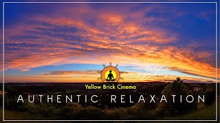 Yellow Brick Cinema: No AI, No Bots, Just real People