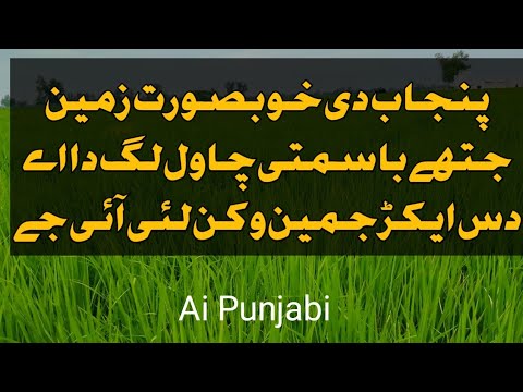 Land for Sale in Punjab | Land for Sale in Pakistan | Beautiful Land for Sale